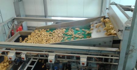 SWEPCO Food Grade Oliën