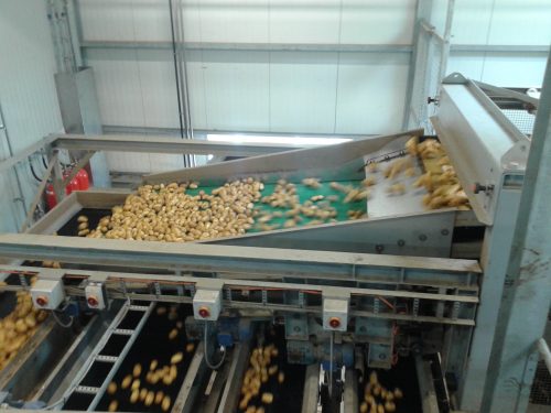 SWEPCO Food Grade Oils