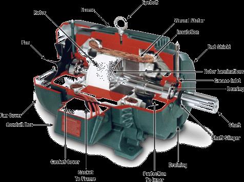 Lubricating Electric Motors